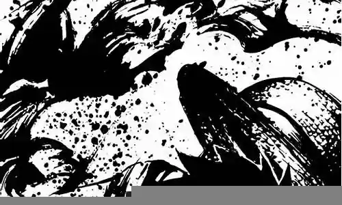 黑白海贼王阵容搭配插图