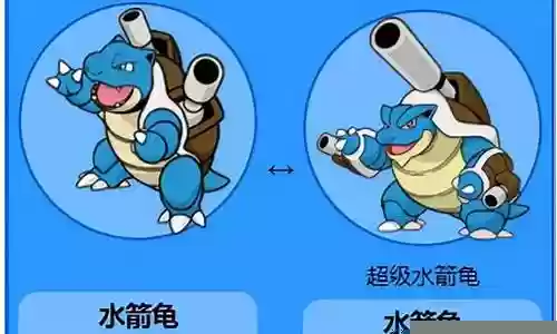 超级水箭龟阵容搭配插图