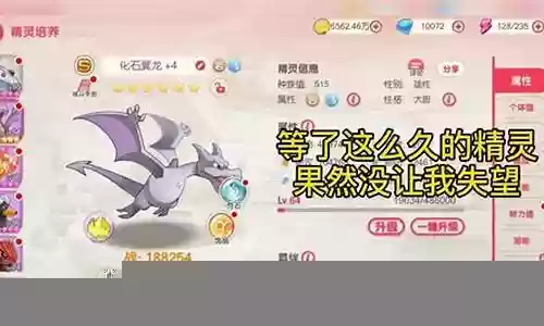 口袋觉醒化石翼龙搭配阵容插图