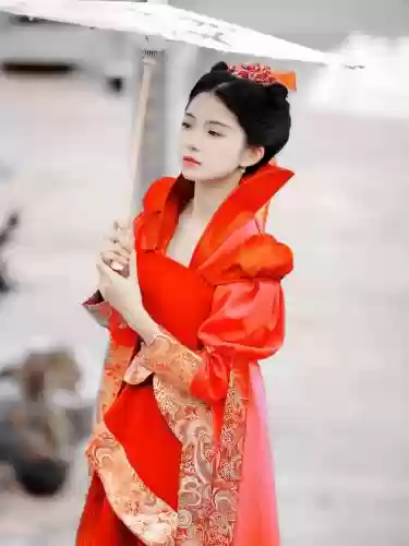 红葵阵容插图1