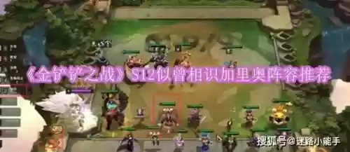 加里猫阵容插图1