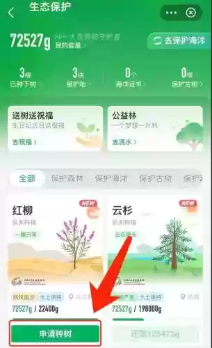 支付宝植树攻略插图