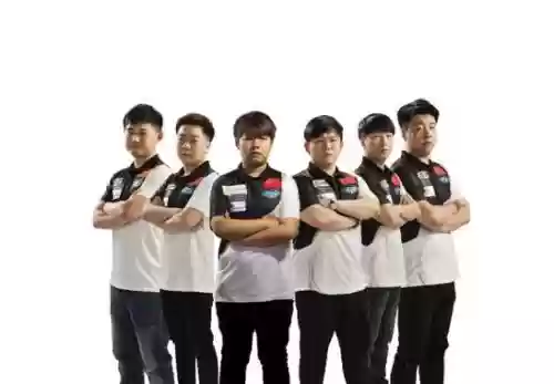cfnest阵容插图