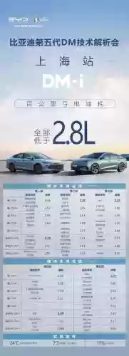 比亚迪dmi阵容插图