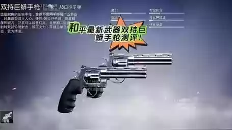 吃鸡用两把武器插图