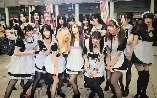 女佣阵容插图