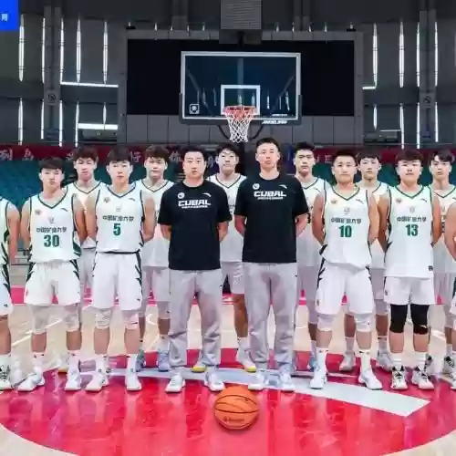大矿区阵容插图