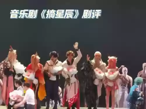 摘星辰阵容插图