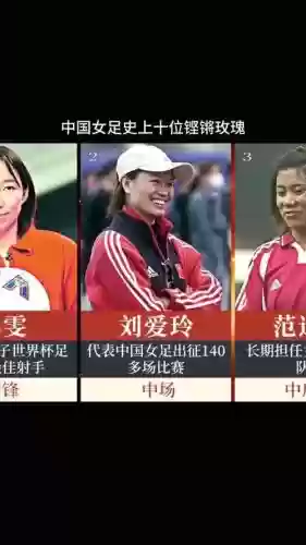 刘爱玲历史阵容插图1