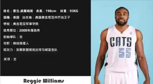 13山猫阵容插图1