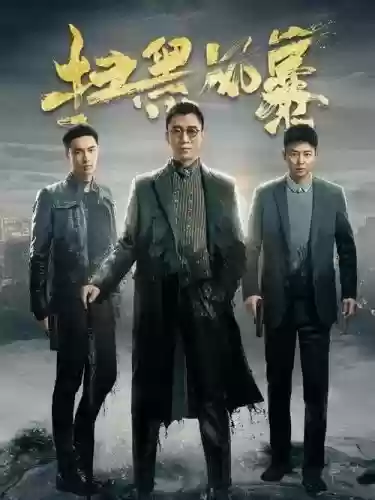 扫黑风暴双方阵容搭配插图