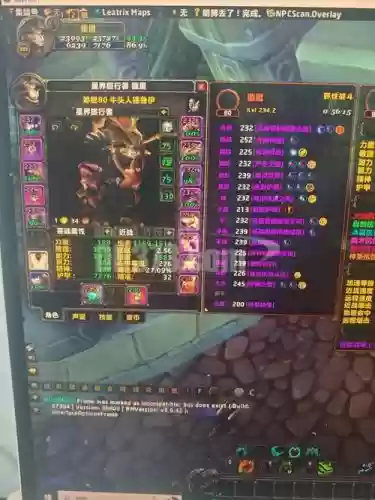 兽人德鲁伊阵容插图1