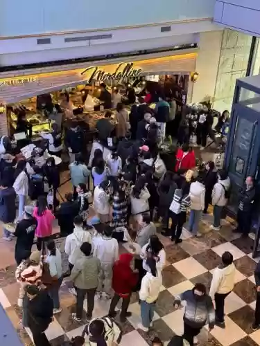 豪华阵容逛街插图
