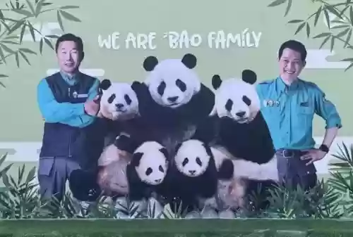 国宝的阵容插图1