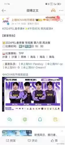 nv最新阵容插图1