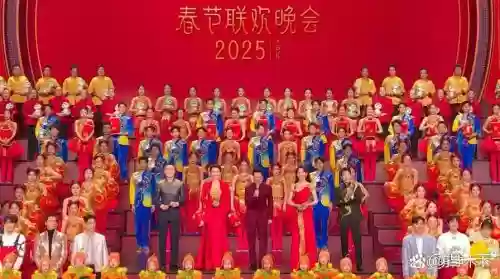 去年春晚阵容插图