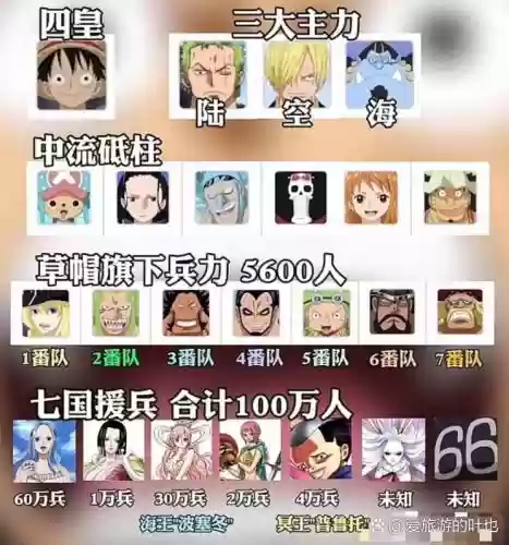海盗终极阵容插图1