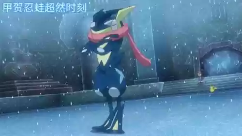 小智的甲贺忍蛙技能插图1