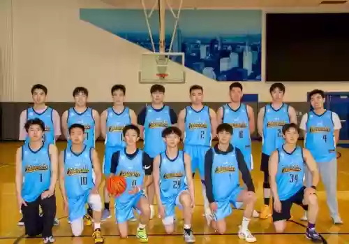 篮球组织阵容插图1