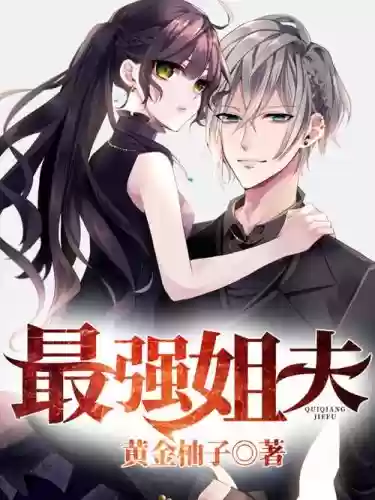 最强姐夫阵容插图