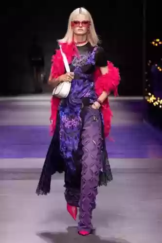 范思哲阵容2015插图1