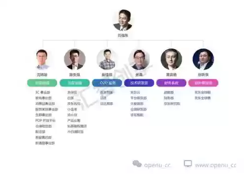 京东阵容分析插图1