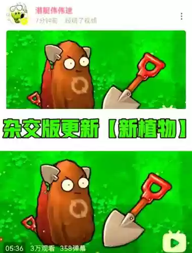 高坚果技能插图1