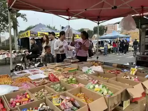 地摊最强阵容搭配插图1