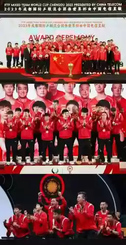 国乓阵容_1插图