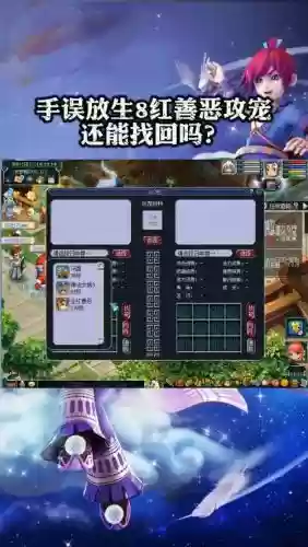 梦幻西游宠物放生插图