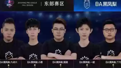 黑凤梨阵容插图1