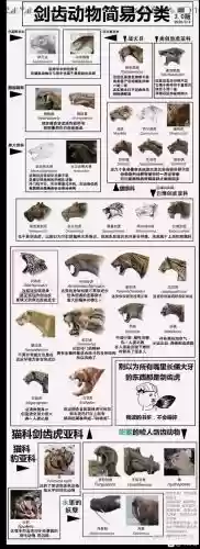 锯齿兽阵容插图1