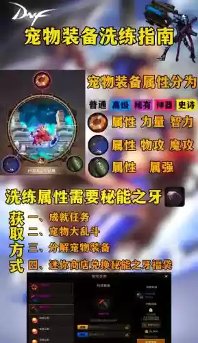 dnf宠物装备怎么得到的插图