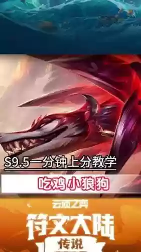 小狼狗阵容_1插图