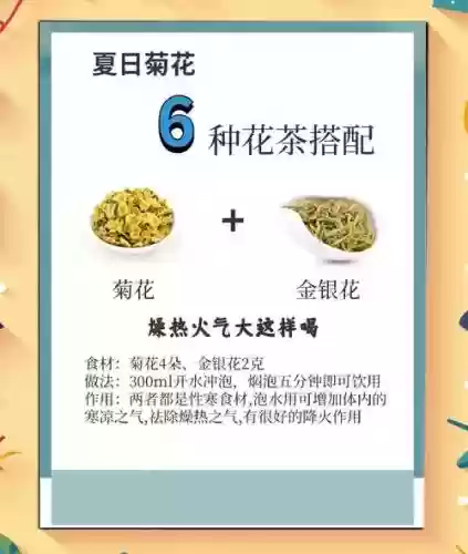 菊花搭配阵容插图1