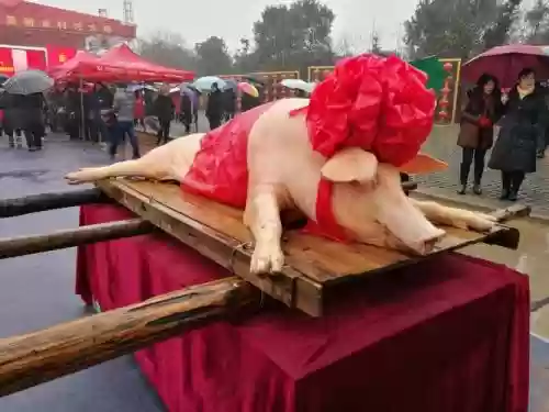 专业杀猪阵容插图1