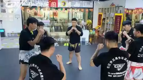 阵容对抗训练插图