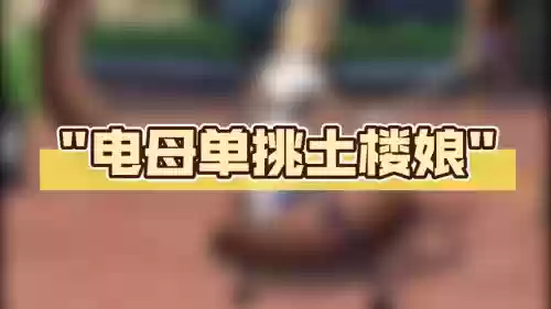 电母阵容攻略插图