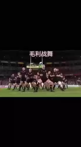 战舞阵容插图1