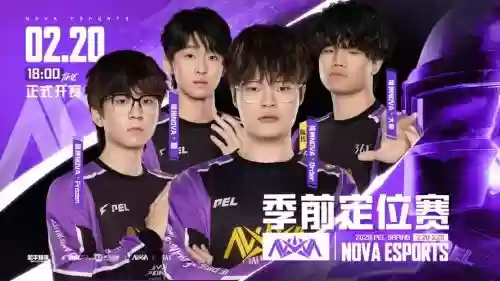 nv最新阵容插图