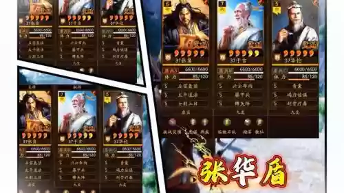华佗搭配什么阵容插图