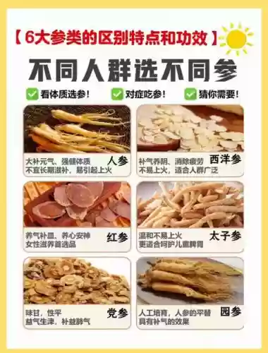 人参阵容搭配_1插图