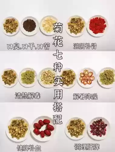 菊花搭配阵容插图