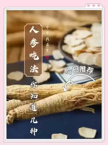 人参阵容搭配_1插图1