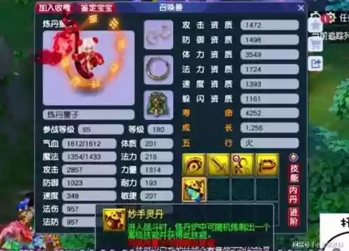 梦幻西游什么宝宝必带夜战插图