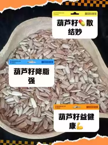 梦幻西游葫芦籽用处插图1